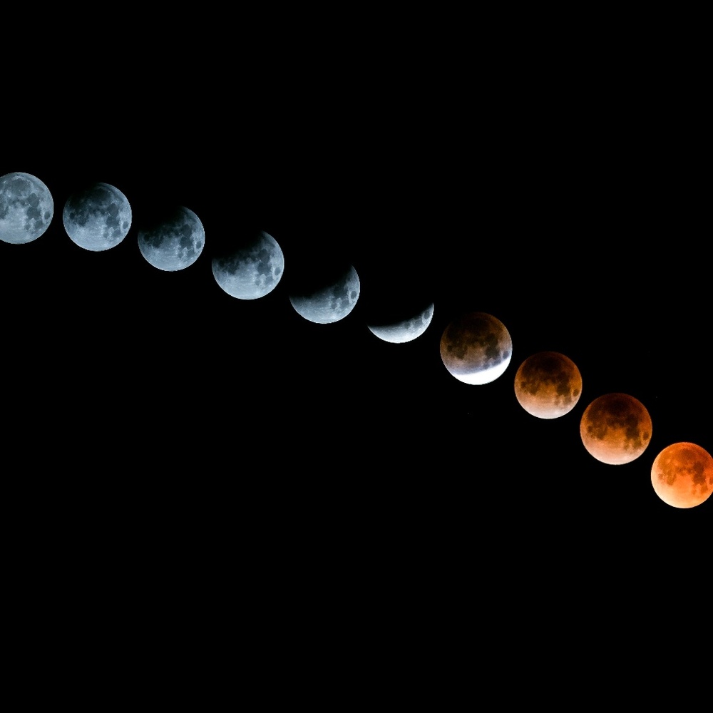 Meet your Posher, Tara